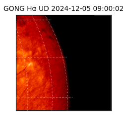 gong - 2024-12-05T09:00:02