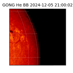 gong - 2024-12-05T21:00:02