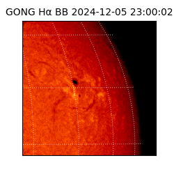 gong - 2024-12-05T23:00:02