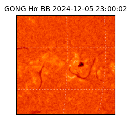 gong - 2024-12-05T23:00:02