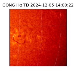 gong - 2024-12-05T14:00:22
