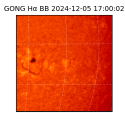 gong - 2024-12-05T17:00:02