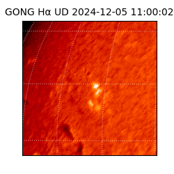 gong - 2024-12-05T11:00:02