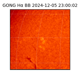 gong - 2024-12-05T23:00:02