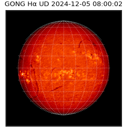 gong - 2024-12-05T08:00:02