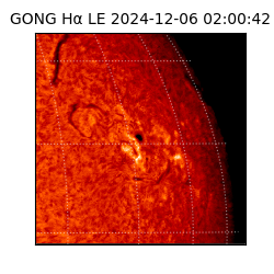 gong - 2024-12-06T02:00:42