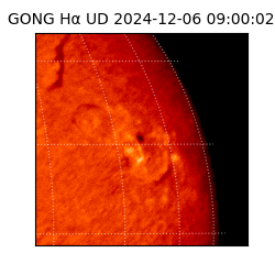 gong - 2024-12-06T09:00:02