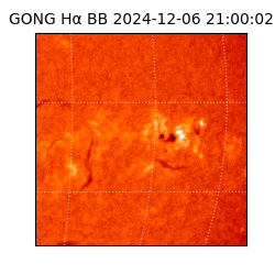 gong - 2024-12-06T21:00:02