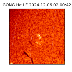 gong - 2024-12-06T02:00:42