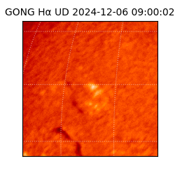 gong - 2024-12-06T09:00:02