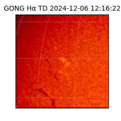 gong - 2024-12-06T12:16:22