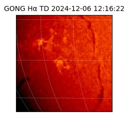 gong - 2024-12-06T12:16:22