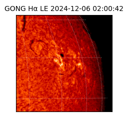 gong - 2024-12-06T02:00:42