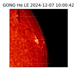 gong - 2024-12-07T10:00:42
