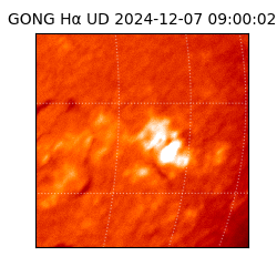 gong - 2024-12-07T09:00:02