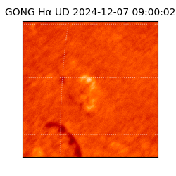 gong - 2024-12-07T09:00:02