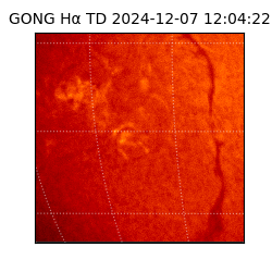 gong - 2024-12-07T12:04:22
