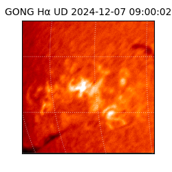 gong - 2024-12-07T09:00:02
