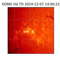 gong - 2024-12-07T14:00:22