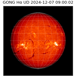 gong - 2024-12-07T09:00:02