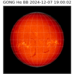 gong - 2024-12-07T19:00:02