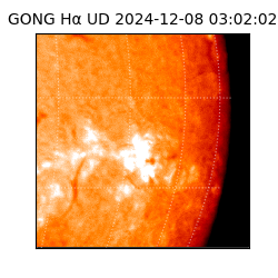gong - 2024-12-08T03:02:02