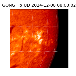 gong - 2024-12-08T08:00:02