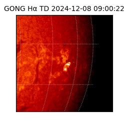 gong - 2024-12-08T09:00:22