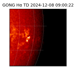 gong - 2024-12-08T09:00:22