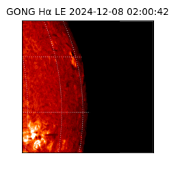 gong - 2024-12-08T02:00:42