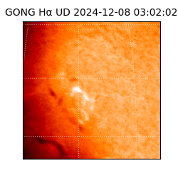 gong - 2024-12-08T03:02:02