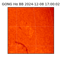 gong - 2024-12-08T17:00:02