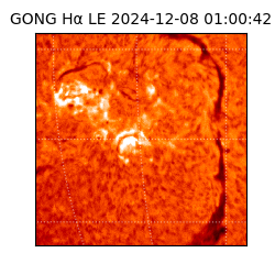 gong - 2024-12-08T01:00:42