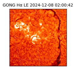 gong - 2024-12-08T02:00:42