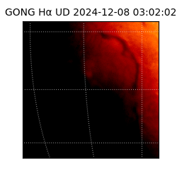 gong - 2024-12-08T03:02:02