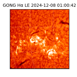 gong - 2024-12-08T01:00:42