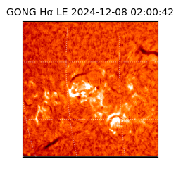 gong - 2024-12-08T02:00:42