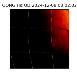 gong - 2024-12-08T03:02:02
