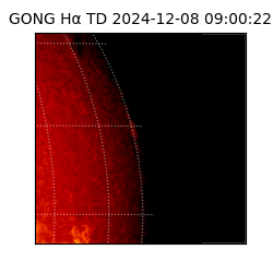gong - 2024-12-08T09:00:22