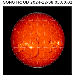 gong - 2024-12-08T05:00:02
