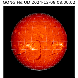 gong - 2024-12-08T08:00:02
