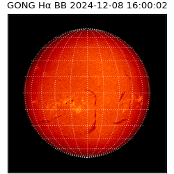 gong - 2024-12-08T16:00:02