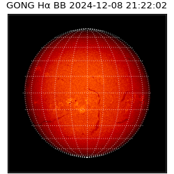 gong - 2024-12-08T21:22:02