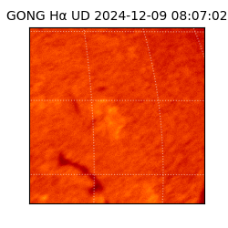gong - 2024-12-09T08:07:02