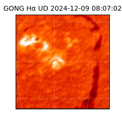 gong - 2024-12-09T08:07:02