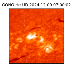 gong - 2024-12-09T07:00:02
