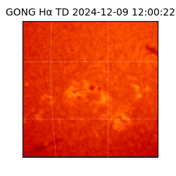 gong - 2024-12-09T12:00:22