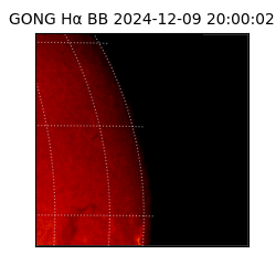 gong - 2024-12-09T20:00:02