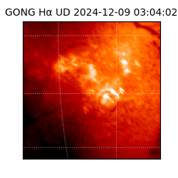 gong - 2024-12-09T03:04:02