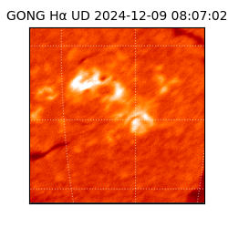 gong - 2024-12-09T08:07:02